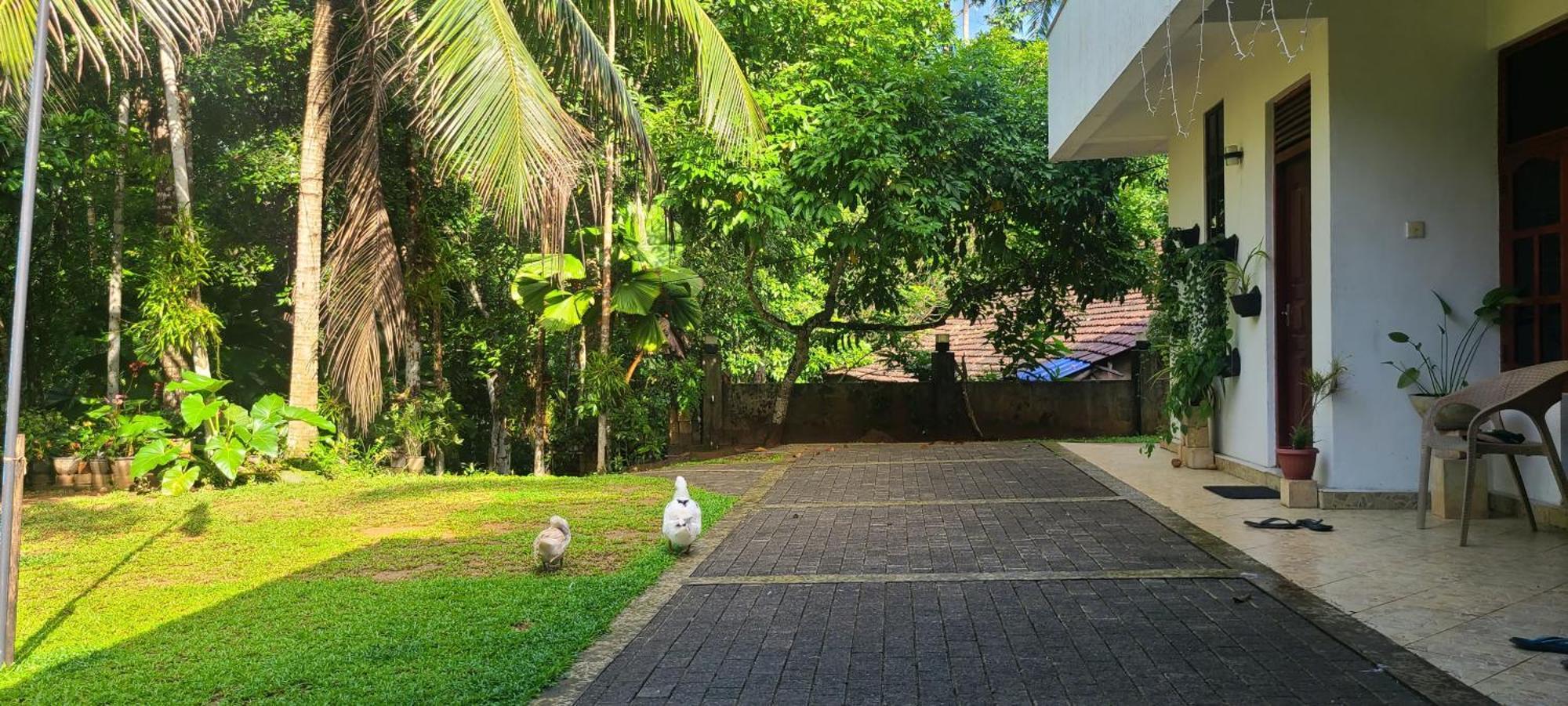 'Kolamba Gedara' Green Apartment Ruwanwella 外观 照片